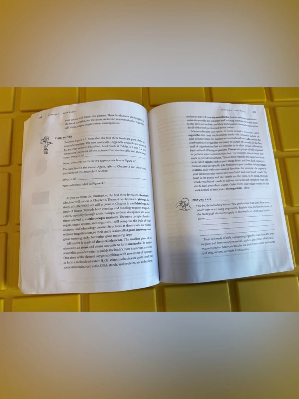 Get Ready for A&P Study Guide - Picture 4 of 5